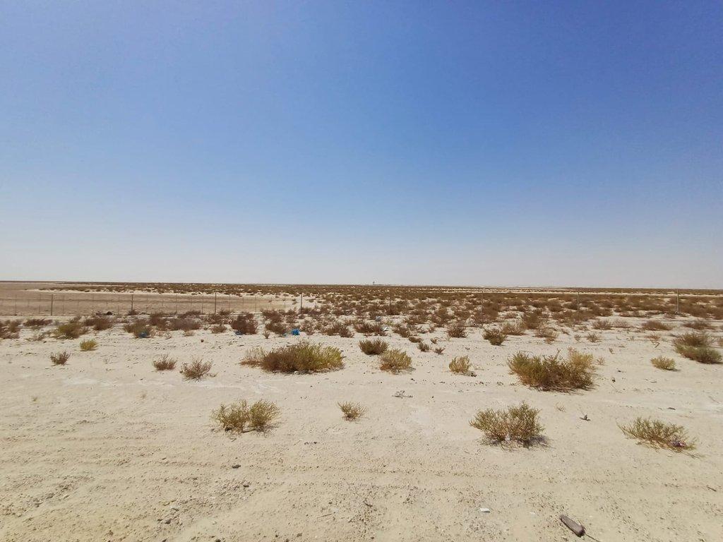 اعلان تسويقي